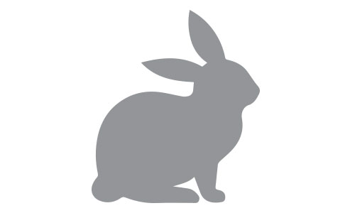 icon_animal2.jpg
