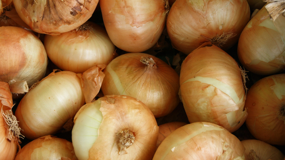 Onion