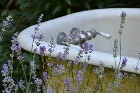 lavender-bath-e1651379794173.jpg
